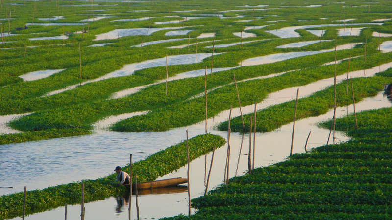 Tonle Sap