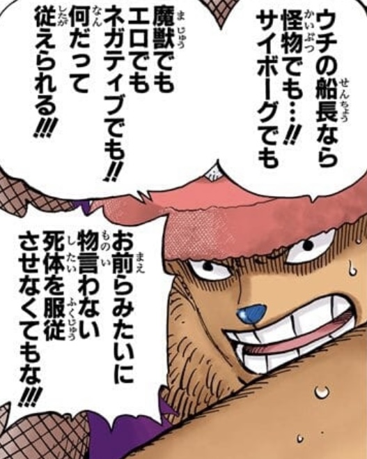 Chopper Luffy - One Piece