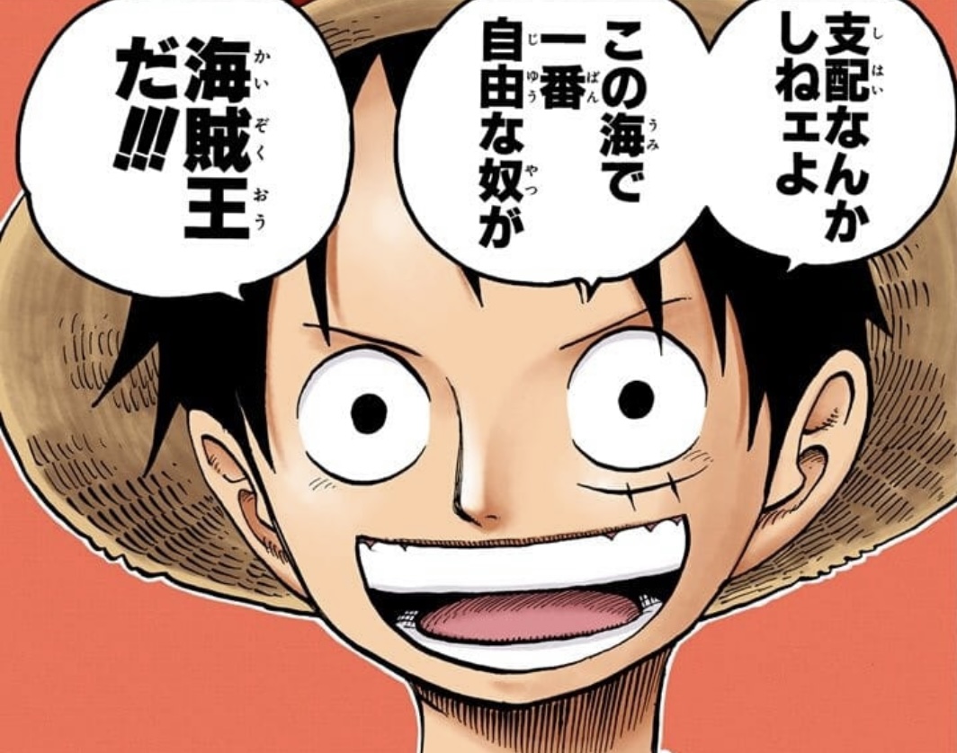 Luffy Pirate King definition Rayleigh