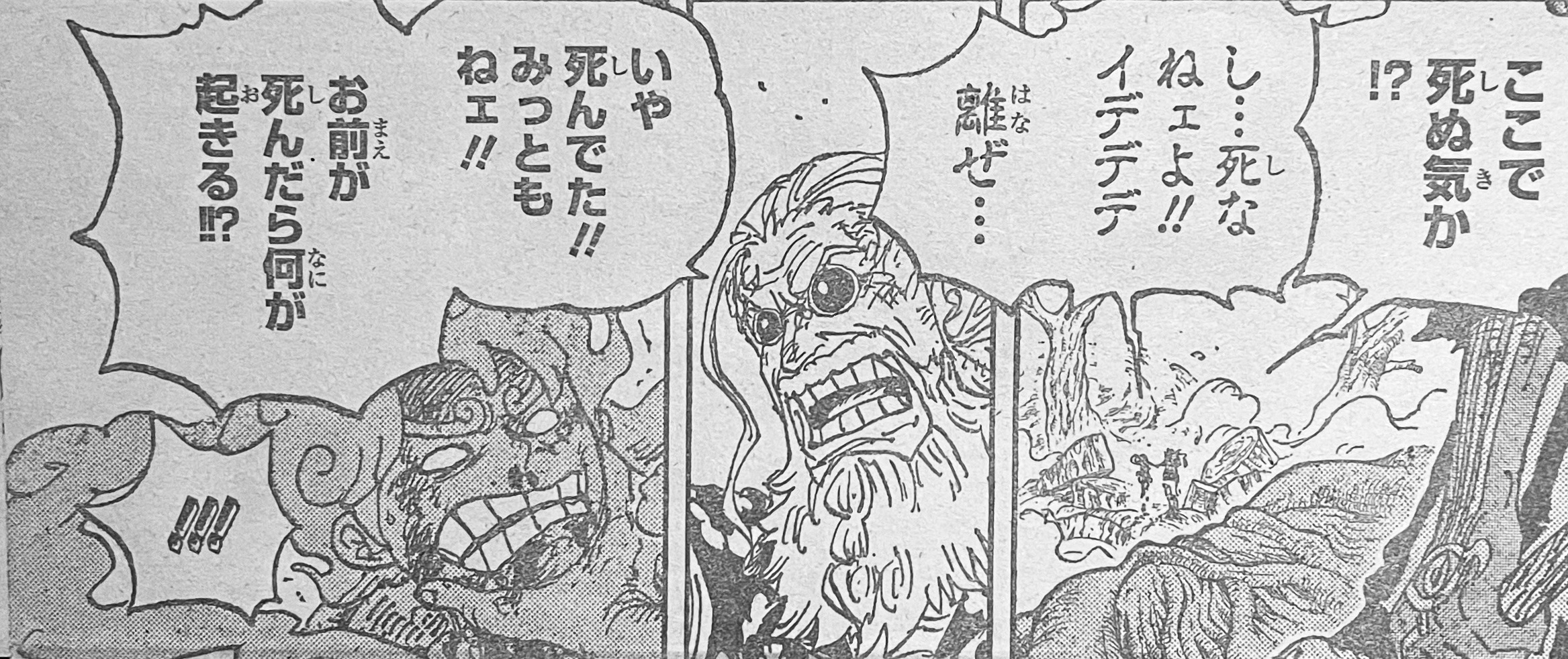 Gaban Luffy confirm