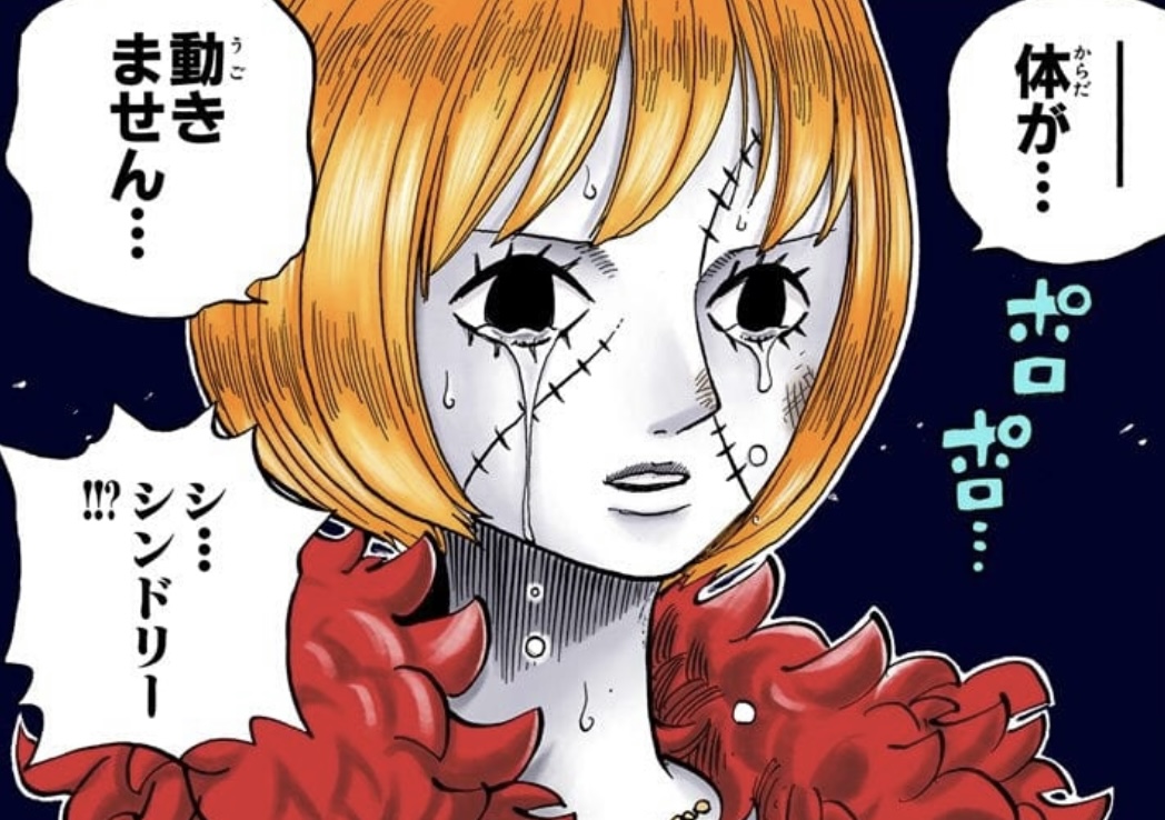 Cindry Self-Awareness - One Piece