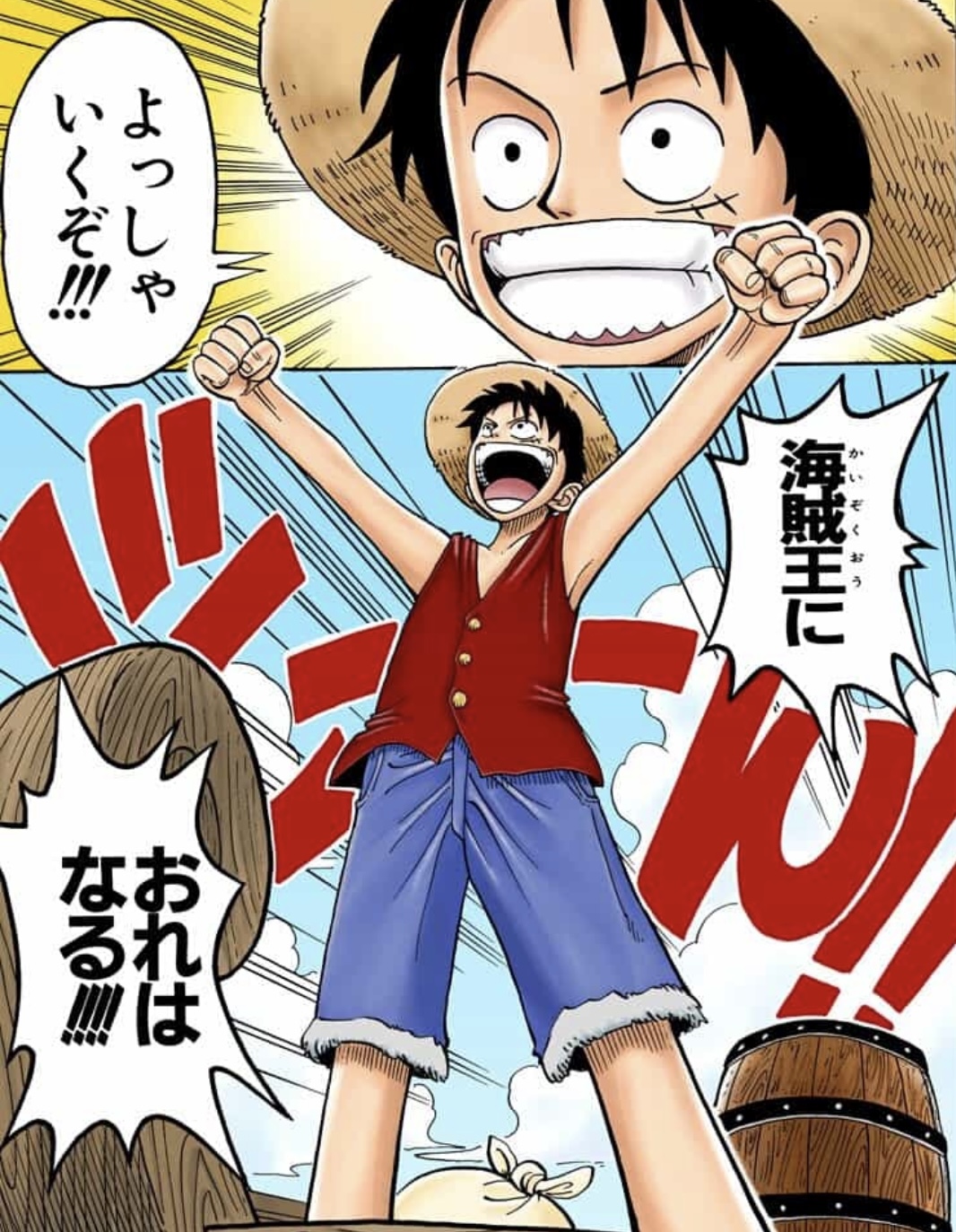 Luffy — Pirate King