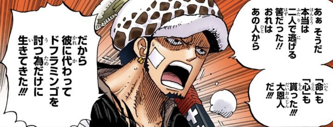 Law - purpose - Doflamingo