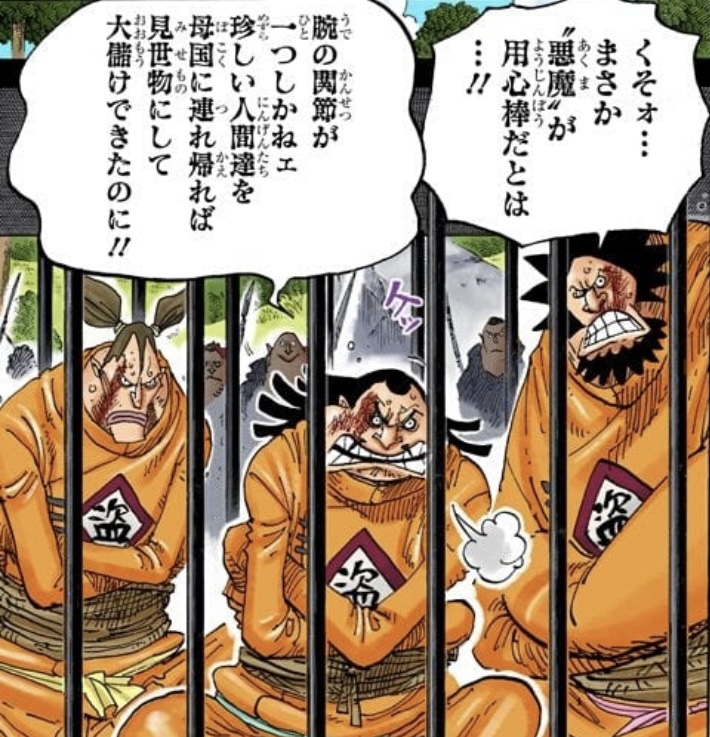 ONE PIECE rare species one eye scene