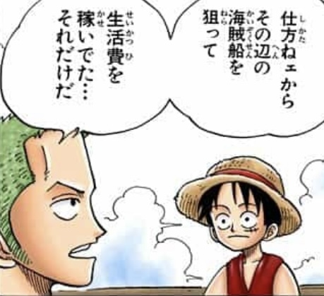 Zoro pirate hunter