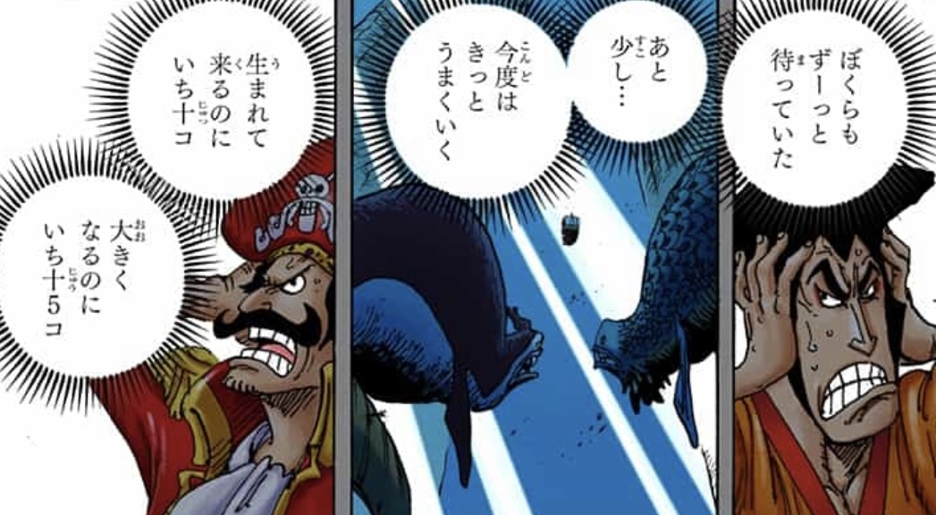 Poseidon, Shirahoshi — One Piece