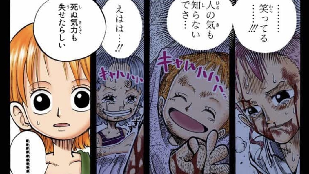 Nami and Nojiko found on battlefield
