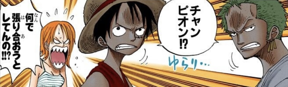 ONE PIECE Vol. 24
