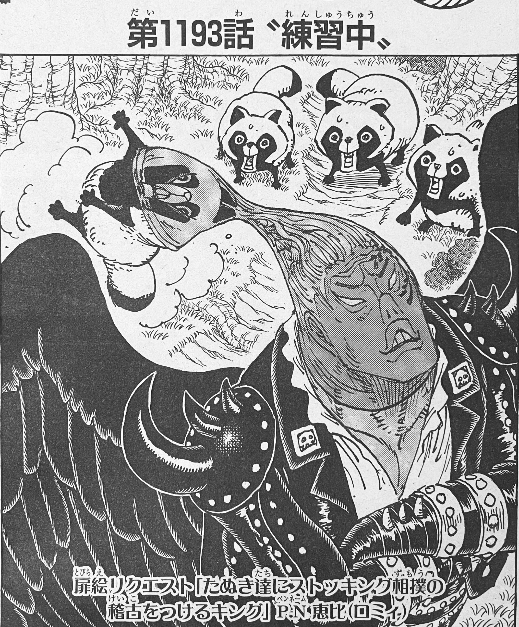 Copertina: King allena i tanuki nel sumo con le calze