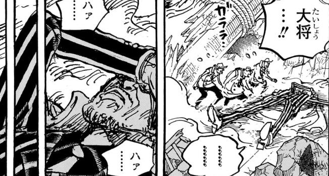 Kizaru mudanca de coracao oculos de sol One Piece