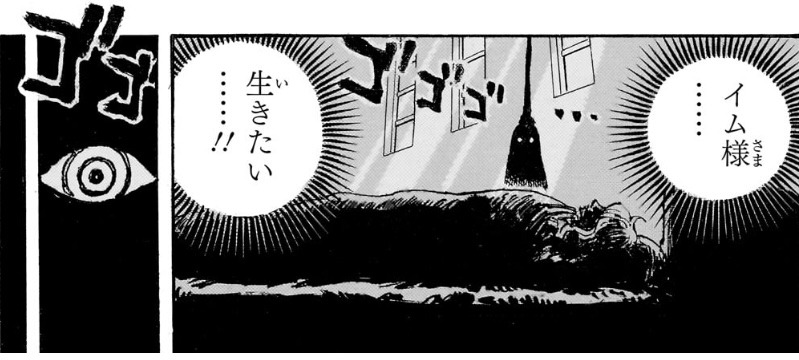 Princesa Shuri despertando – One Piece Capítulo 1195