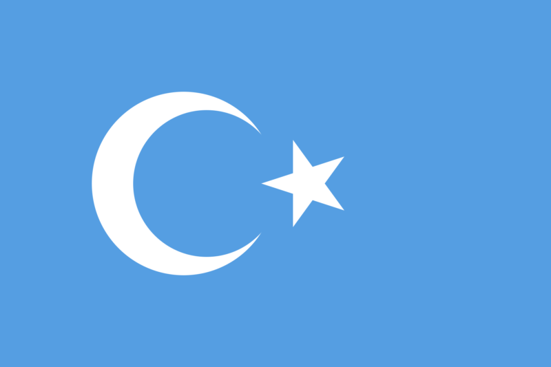 東トルキスタン共和国の旗