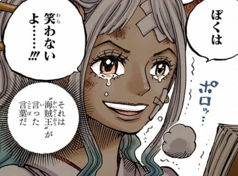 ヤマト　海賊王　ルフィの夢