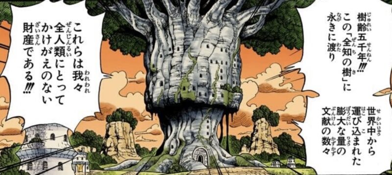 5000年前　全知の樹　オハラ