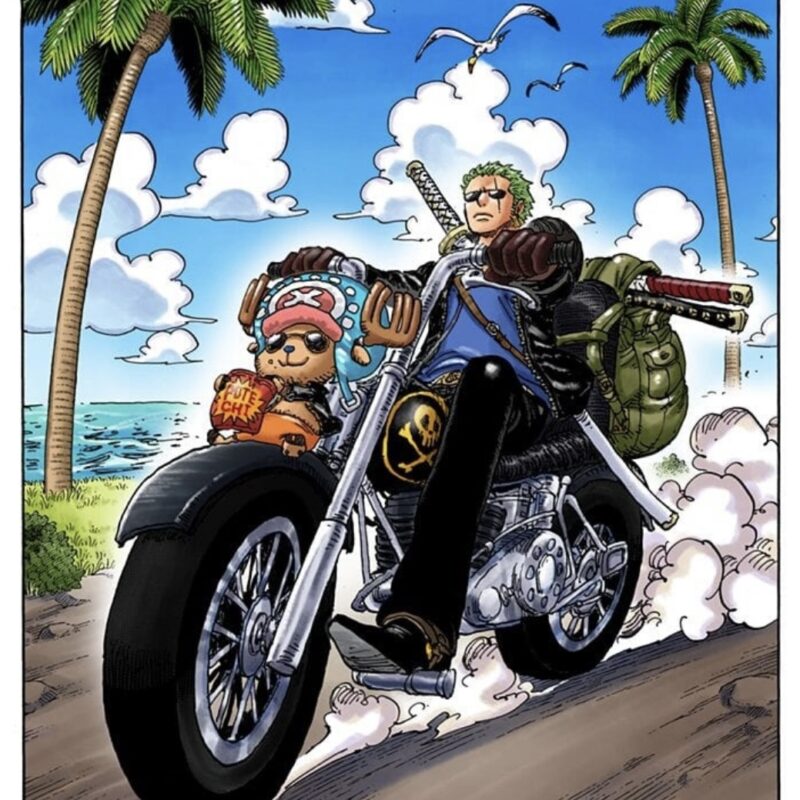 ゾロ チョッパー 相棒