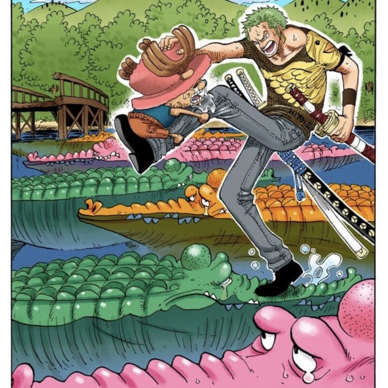 ゾロ チョッパー 相棒