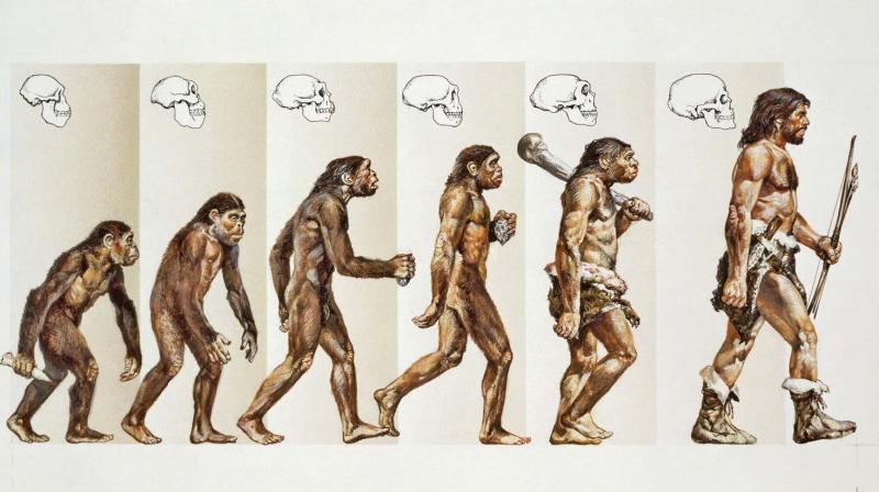 ダーウィン　進化論