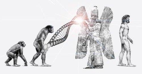 アヌンナキ　人類の起源　遺伝子操作　猿