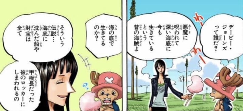 ロビン チョッパー デービージョーンズ 海賊の伝説