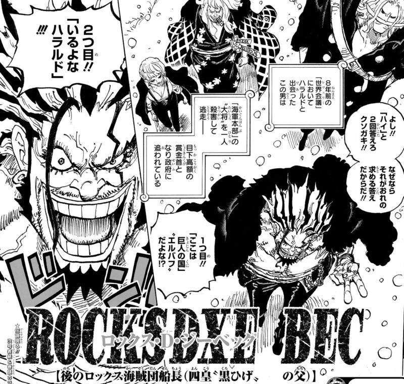 ロックス 黒ひげ