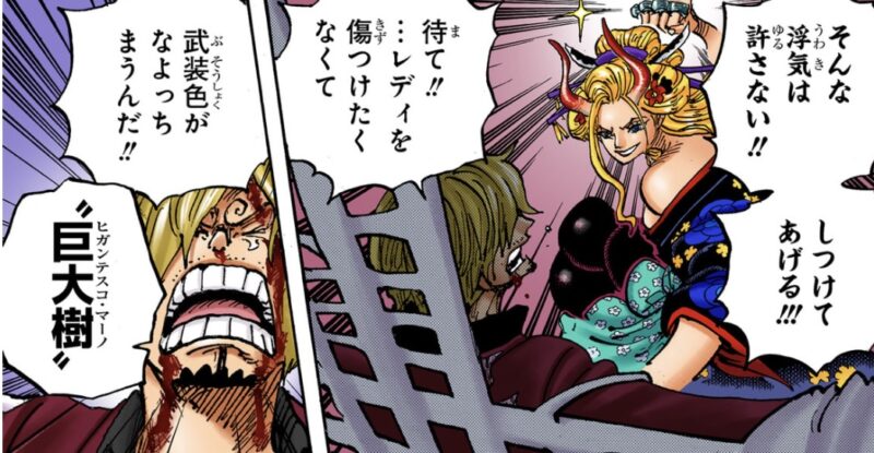 サンジ 武装色 なよる
