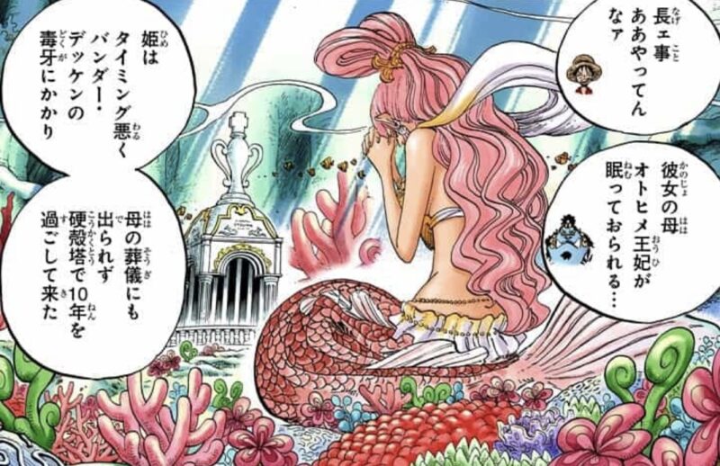 しらほし 墓参り