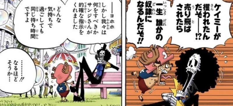 ブルック チョッパー ケイミー 誘拐