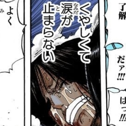 ロビン　くやしくて涙が