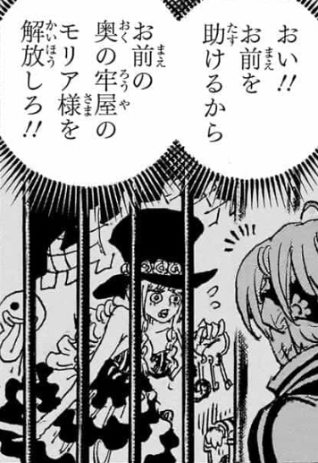 ペローナ コビー ハチノス