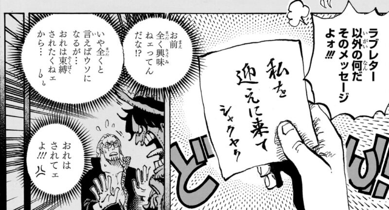 レイリー　手紙