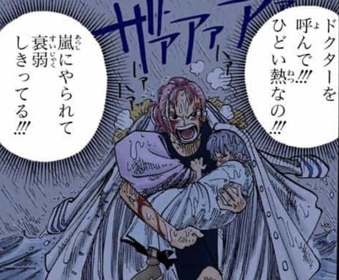 ベルメール ナミ ドラゴン シャンクス