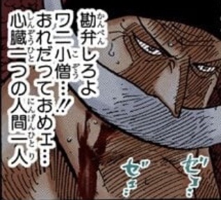 白ひげ 心臓一つ