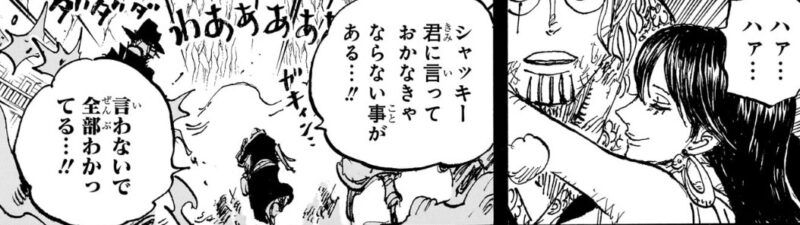 レイリー　シャクヤク