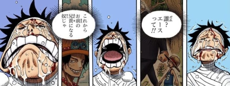 ルフィ　エース　頂上戦争