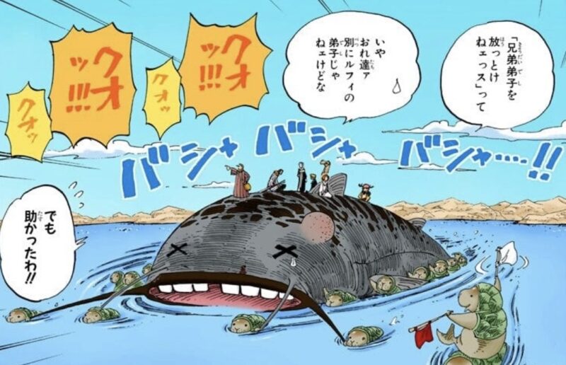 クンフージュゴン　サンドラマレナマズ　アラバスタ