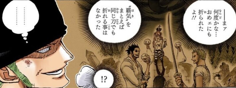 ミホーク　ゾロ　刃こぼれ