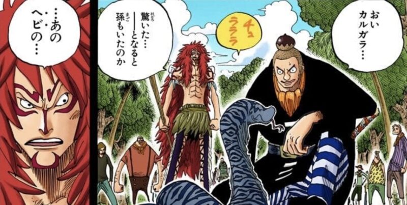 ウワバミ ノーランド カルガラ