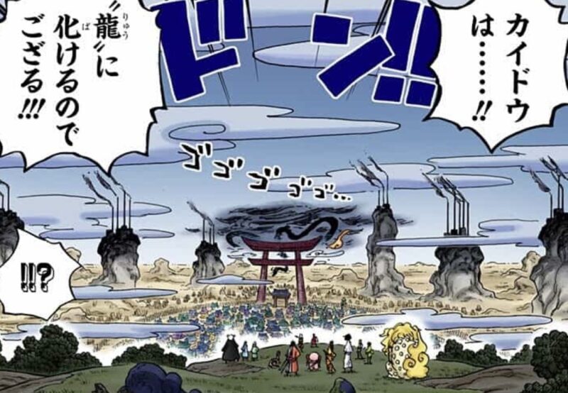 カイドウ 青龍 能力