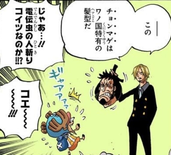 錦えもん　パンクハザード