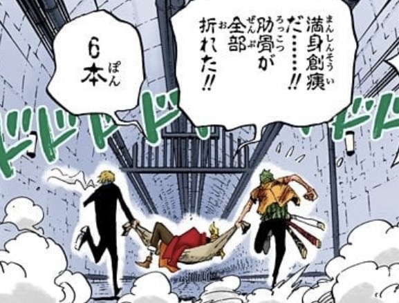 ウソップ　全身の骨