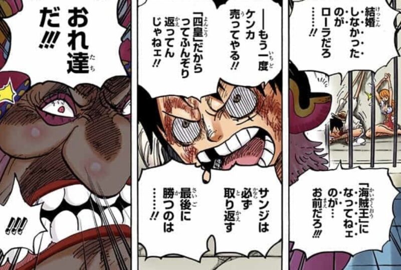 ビッグマム　ホールケーキ　ルフィ　海賊王