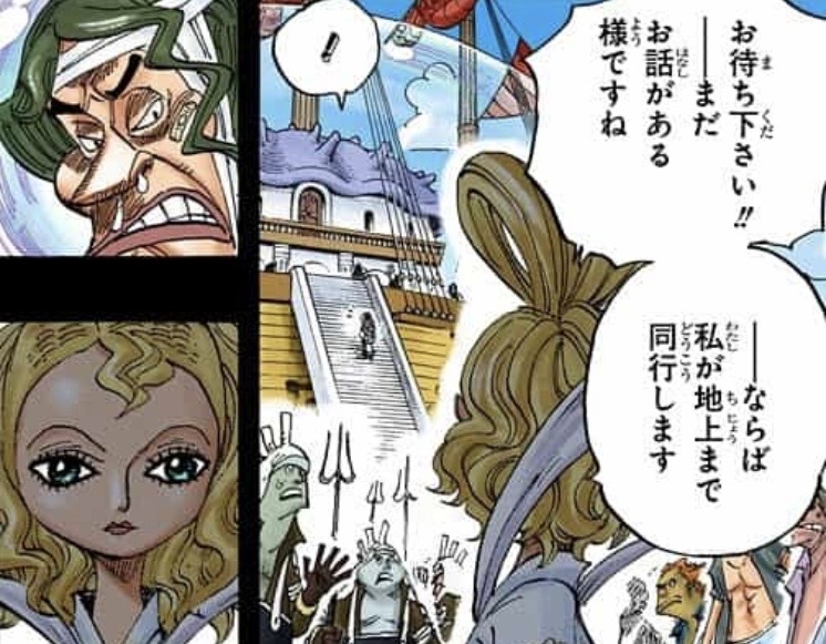 魚人島 天竜人 オトヒメ