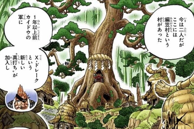 編笠村　ワノ国
