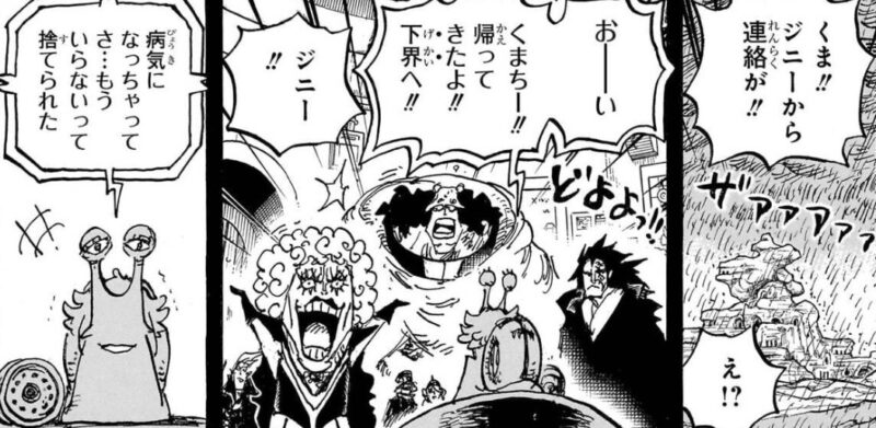 ジニー 天竜人
