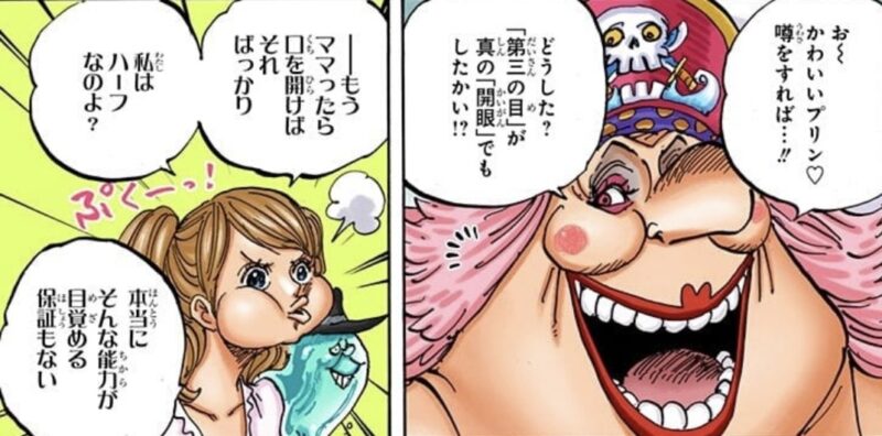 第三の目　真の開眼　プリン