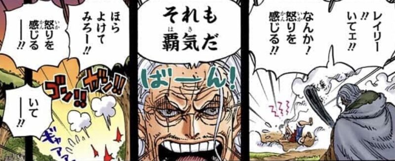 レイリーの修行 覇気 怒り