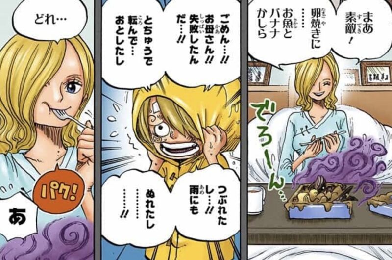 サンジ 幼少期 ソラ