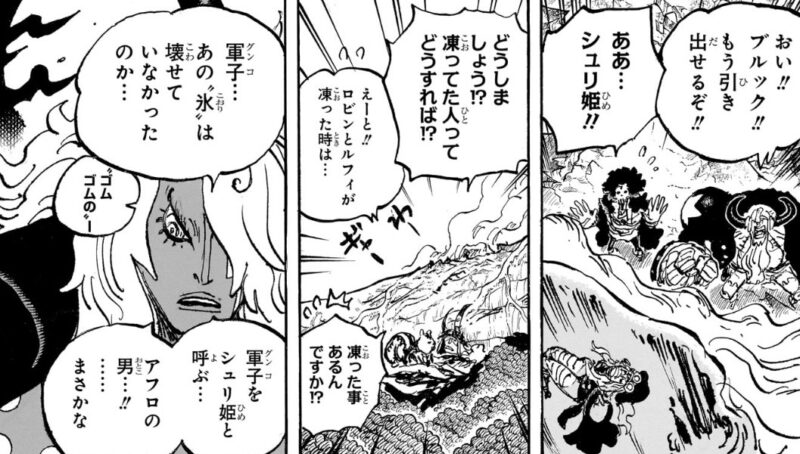 アフロ　凍ったシュリ　イム様