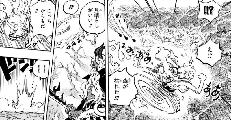 木が枯れる　イム様