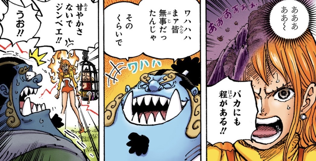 Nami Conqueror's Haki One Piece